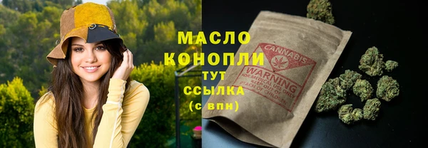 стафф Верхний Тагил