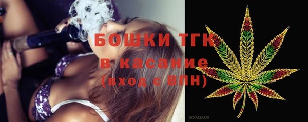 стаф Богородск