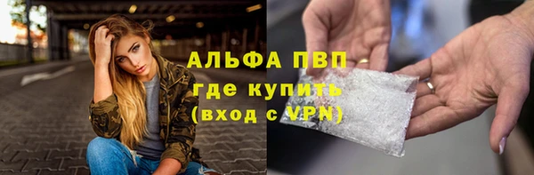стафф Верхний Тагил