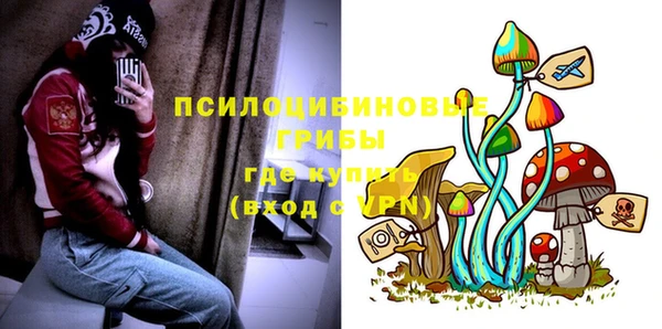стафф Верхний Тагил