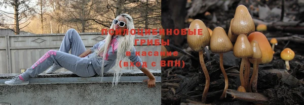 стафф Верхний Тагил